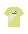 T-shirt Enfant B PP GRAF TEE Vert