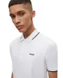 Polo Homme Dinoso222