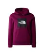 Sweat à capuche Enfant TEENS BOX P/O HOODIE Bordeaux