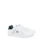 Polos Homme Lacoste Euro Base