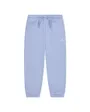 Pantalon de survetement Fille JDG WJ BRKN FLC PANT Bleu