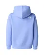 Sweat à capuche Fille G Brand Proud Relaxed Hoodie