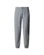 Pantalon de survetement Homme M MOUNTAIN ATHLETICS WIND PANT Gris