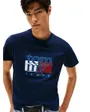 T-Shirt Homme Slim RWB Flag Tee