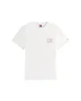 Tee-Shirt Homme Slim Pop Color Flag