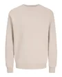 Sweat Homme JJEBradley Crew Noos
