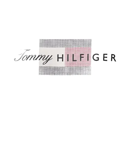 Tee-Shirt Homme Script Flag Regular