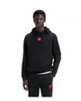 Sweat à Capuche Homme Daratschi214