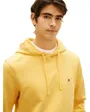 Sweat À Capuche Homme Essential Terry Hoody
