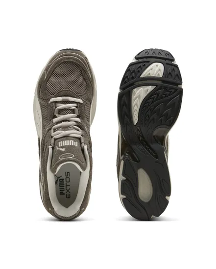 Chaussures Unisexe EXTOS SD Marron