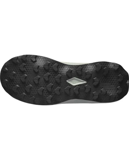Chaussures de trail Homme SHOES ULTRA FLOW 2 Gris