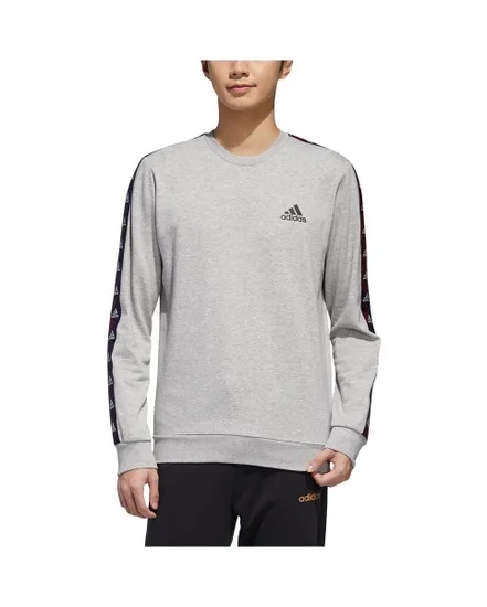 Sweatshirt homme M E TPE SWT Gris