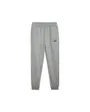 Pantalon de survetement Homme ESS NO. 1 LOGO SWEATPANTS FL CL Gris