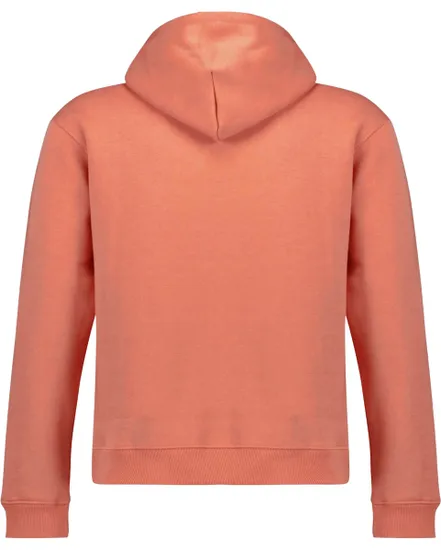 Sweat à capuche Homme BEN FL M