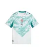 Maillot de football Enfant FPF AWAY JERSEY REPLICA JR Vert