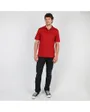 POLO MANCHES COURTES GRAPHIQUE Homme Rouge