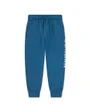Sweat Enfant plus agé JDB MJ STRETCH HBR FLC PANT Bleu