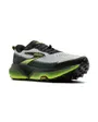 Chaussures de trail Homme CASCADIA 20 Gris