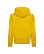 Sweat à capuche Garçon JDB JUMPMAN SUSTAINABLE PULLOV Jaune