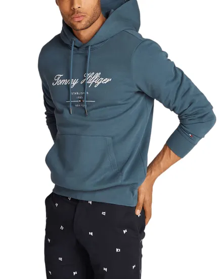 Sweat à capuche Homme SCRIPT LOGO HOODY Bleu