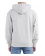Sweat à capuche Homme WEBASICHOOD Gris Clair/Pastel