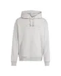 Sweat à capuche Homme M ALL SZN G HDY Gris