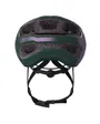 Casque VTT/loisir Unisexe ARX PLUS Vert/Violet