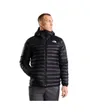 Sweat À Capuche Homme Terra Peak