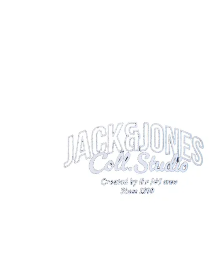 Sweat À Capuche Homme JJMakoto