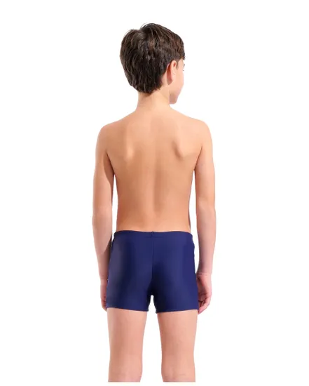 Short De Bain Garçon Arena Painterly