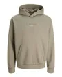 Sweat À Capuche Homme Jcoflare Embos