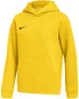 Sweat À Capuche Enfant Nike Park26