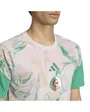 Maillot Homme Algérie Extérieur 2026