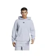 Sweat à capuche Homme D4T HOODIE Gris