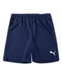 Short Homme TeamRise