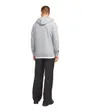 Sweat à Capuche Homme Jjepaulos