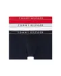 Slips Homme 3P Trunk DTM