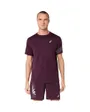 T-shirt Homme ICON SS TOP Bordeaux