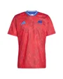 Maillot Homme FFR Prem Jsy