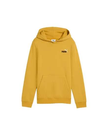 Sweat À Capuche Junior Puma Essentials 2