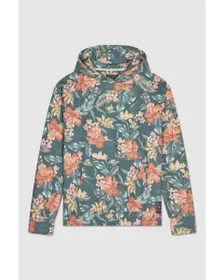 Sweat à capuche manches longues Homme S-THEORY HOODY Multicolore