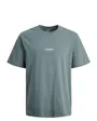 T-Shirt Homme JJESOHO