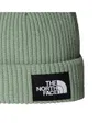 Bonnet SALTY LINED BEANIE Vert