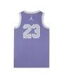 Maillot Enfant plus agé JDN JORDAN 23 JERSEY Violet