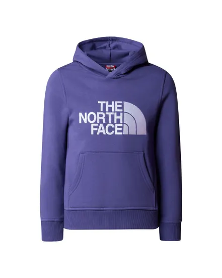 The North Face Drew Peak Pullover - Sweat à capuche Homme, Livraison  gratuite