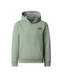 Sweat à capuche Enfant TEEN BOX NSE REGULAR PULLOVER HDIE Vert