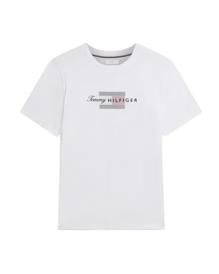 Drapeau Homme Script Flag Regular