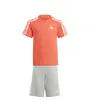 Ensemble de survetement Enfant LK 3S CO T SET Or