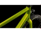 Vélo urbain Homme EDITOR RACE FE Vert Lézard