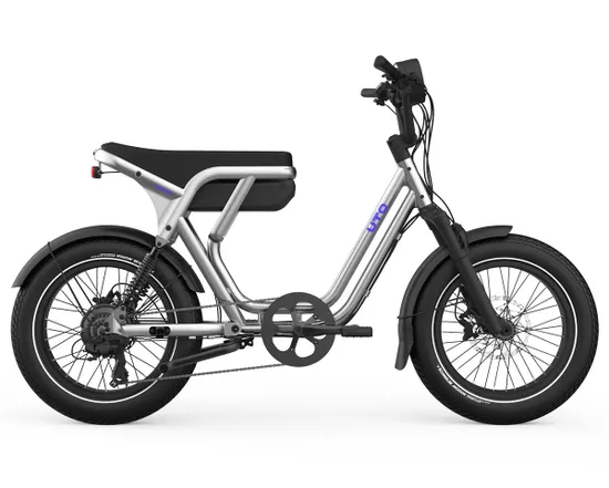 Freighter Double R Vélo cargo électrique OG200 Métallique - Ref OG200-MS-MS